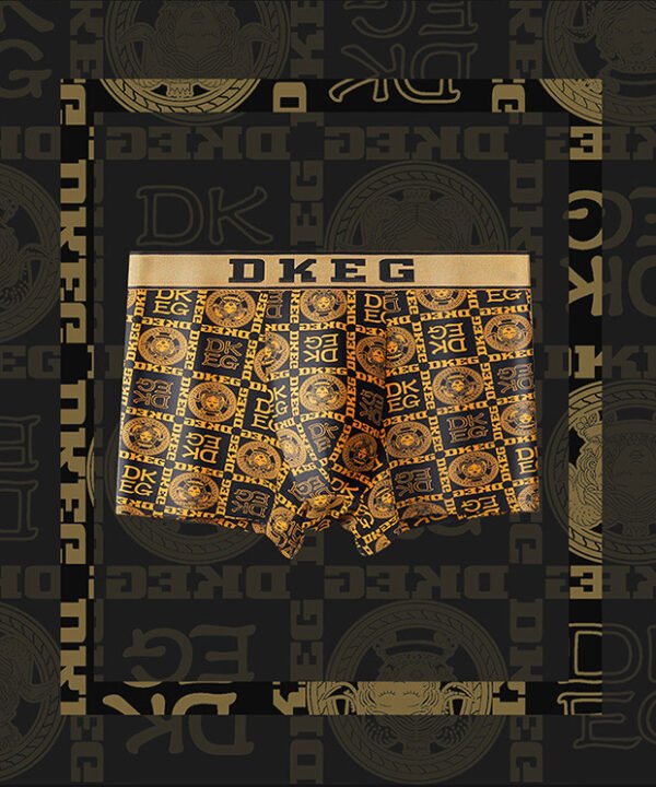 Dkeg men's boxer briefts 05