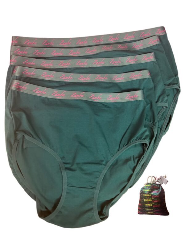 Ba women's classic brief super cotton hot selling(custom logo global supply chain teal with package